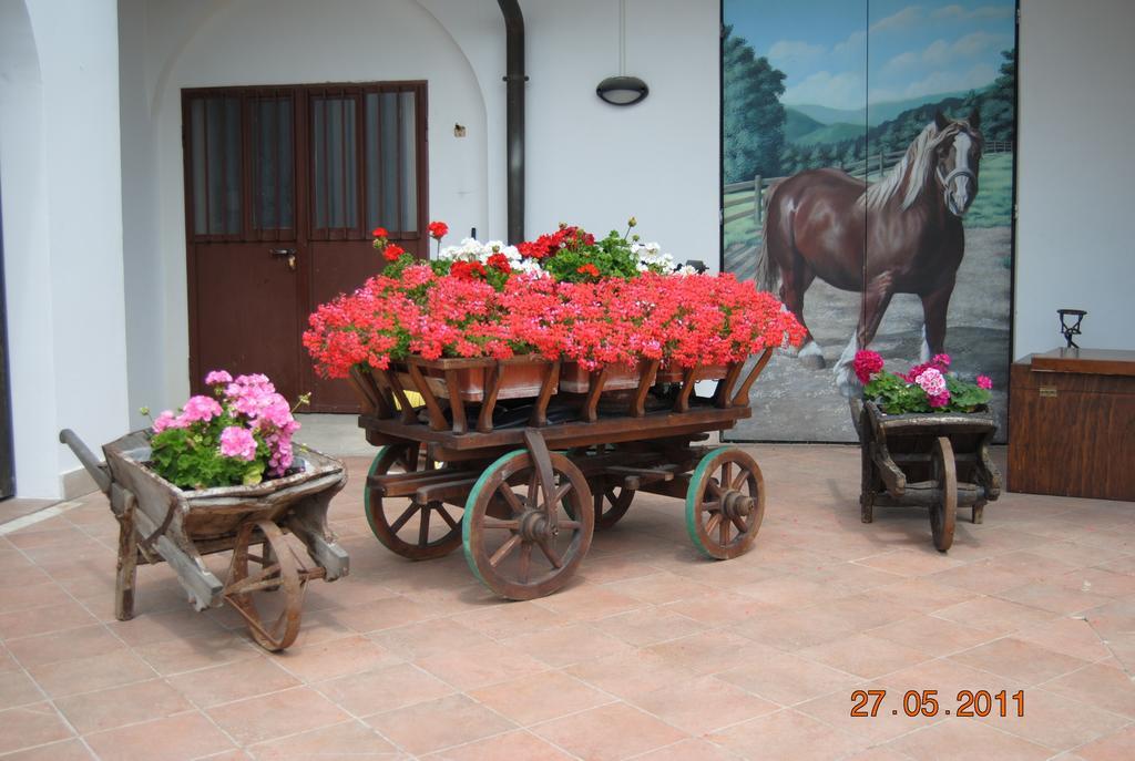 La Pioppa Agriturismo ซาชิเล ภายนอก รูปภาพ