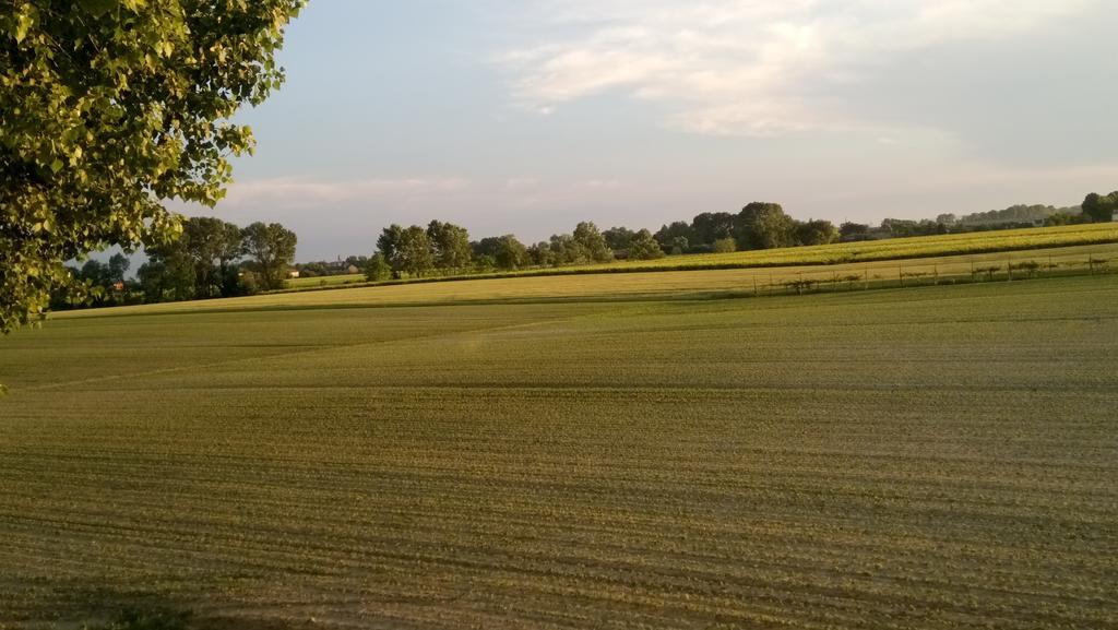 La Pioppa Agriturismo ซาชิเล ภายนอก รูปภาพ