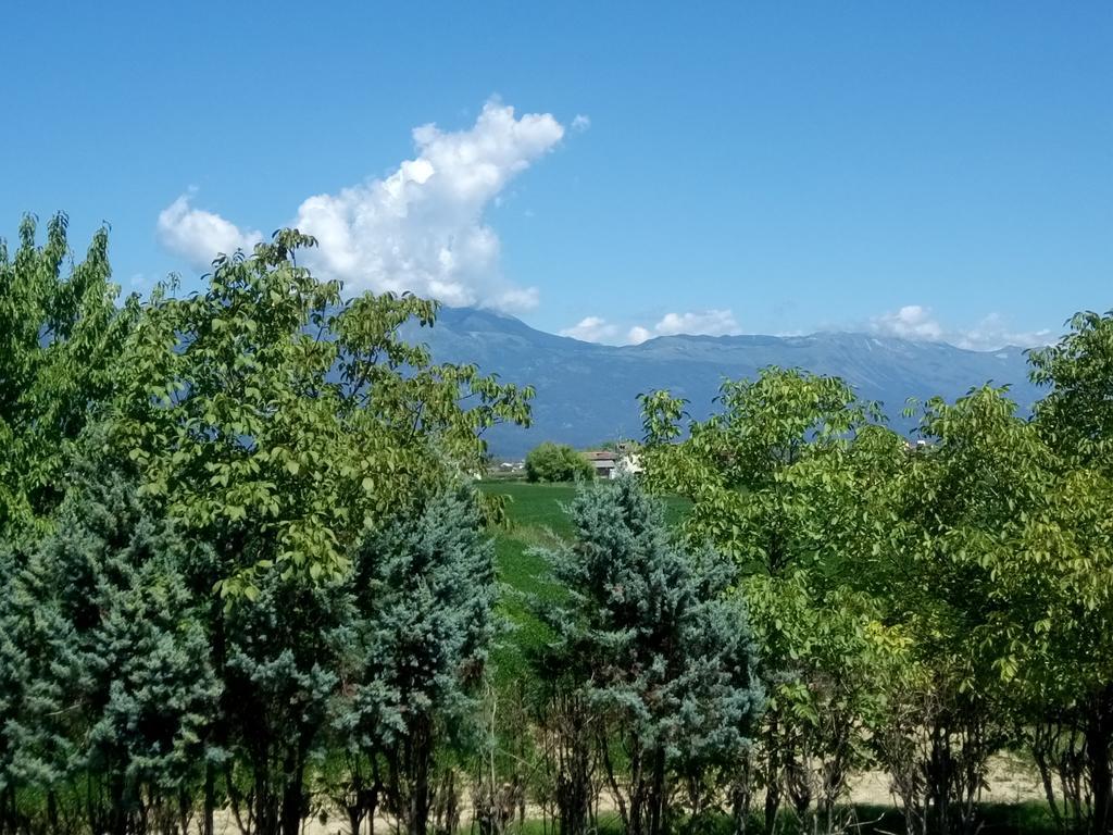 La Pioppa Agriturismo ซาชิเล ภายนอก รูปภาพ